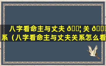 八字看命主与丈夫 🐦 关 🐝 系（八字看命主与丈夫关系怎么看）